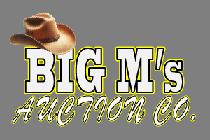 Big M Auction 300x200