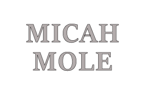 micah-300x200